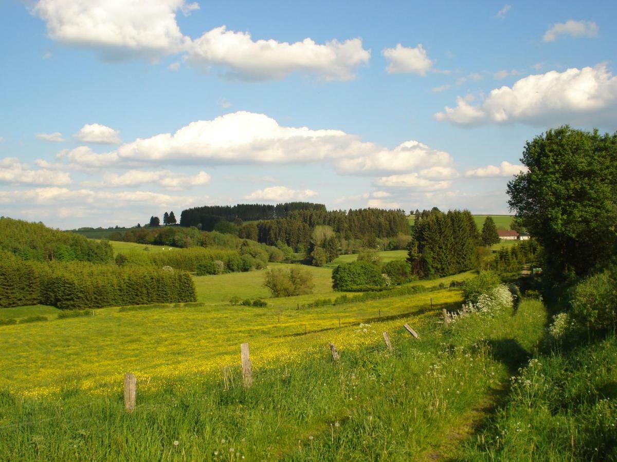Location Panoramagreen Burg Reuland Luaran gambar