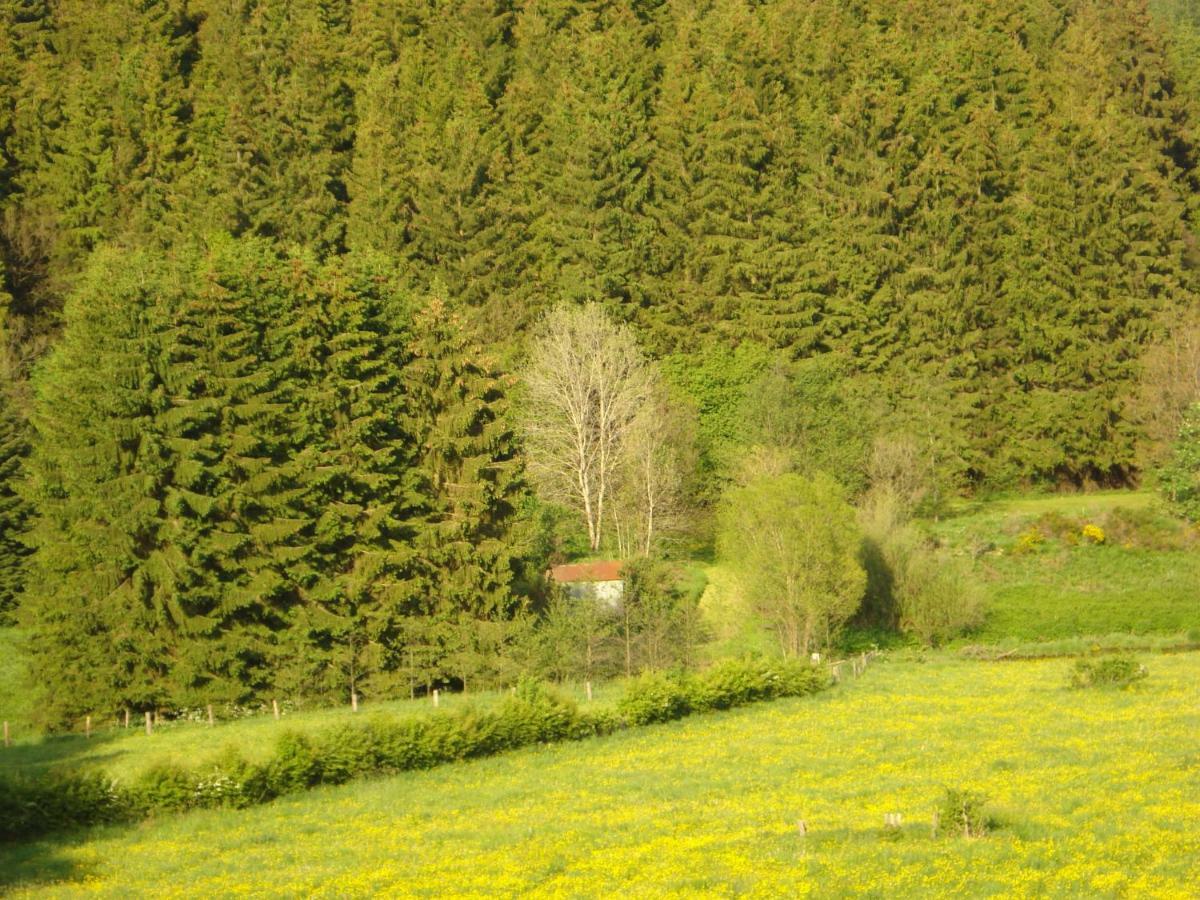 Location Panoramagreen Burg Reuland Luaran gambar