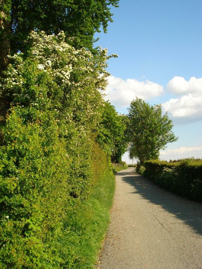 Location Panoramagreen Burg Reuland Luaran gambar