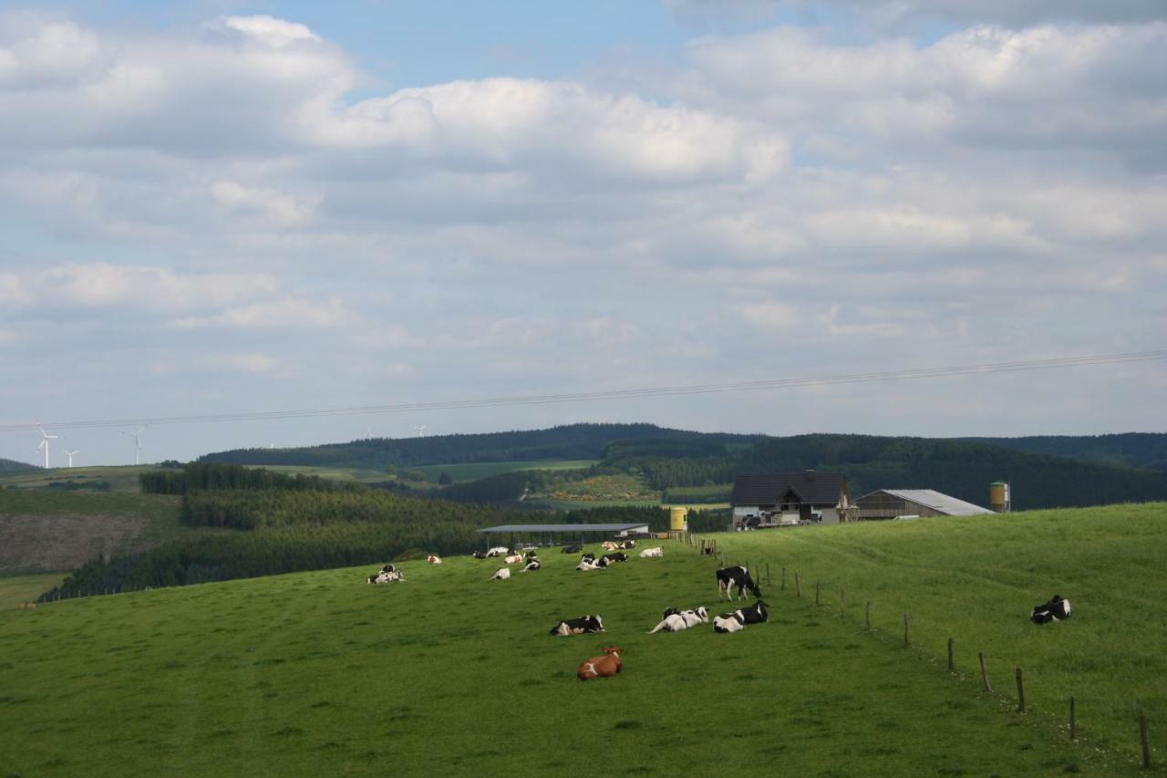 Location Panoramagreen Burg Reuland Luaran gambar
